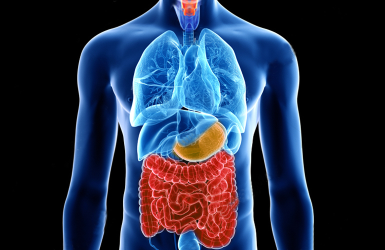 Digestive System Diseases