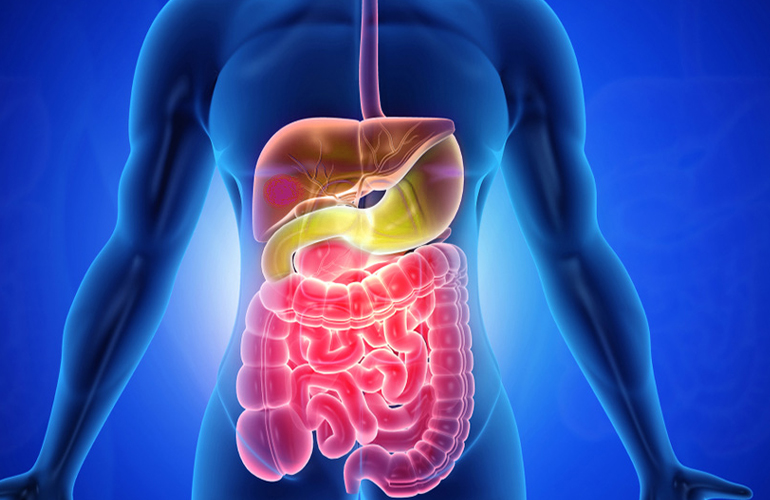 Digestive System Cancers